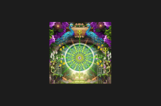 partyhunt-partners-get-event-tickets-across-india-book-parties-and-events-in-the-party-hunt-app